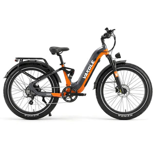 Vakole V26 250W 26