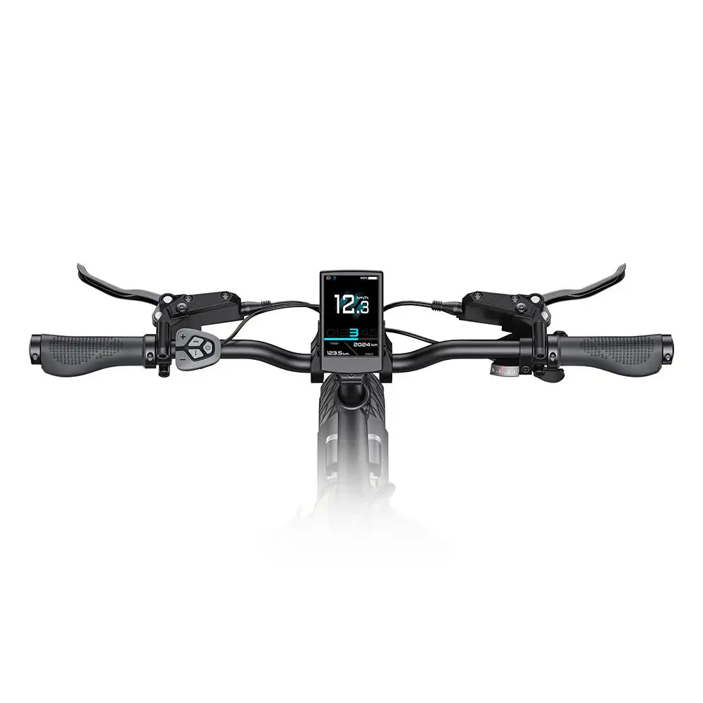Engwe L20 3.0 PRO Moteur central 250W Vélo électrique pliable 20" 720Wh Vélo électrique à cadre ouvert Support d'applications