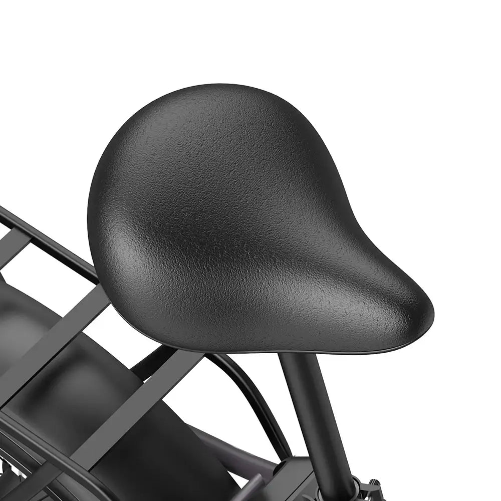 Fafrees FF20 Polar Vélo électrique tout-terrain 20