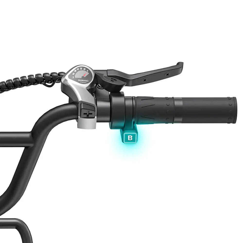 Engwe L20 BOOST 250W 20" Fat Bike 624Wh Vélo électrique à cadre bas avec Capteur de Couple Batterie 48V 13Ah