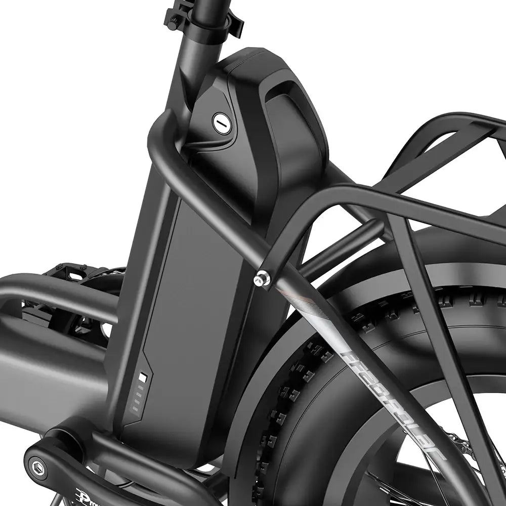 Fafrees FF20 Polar Vélo électrique tout-terrain 20