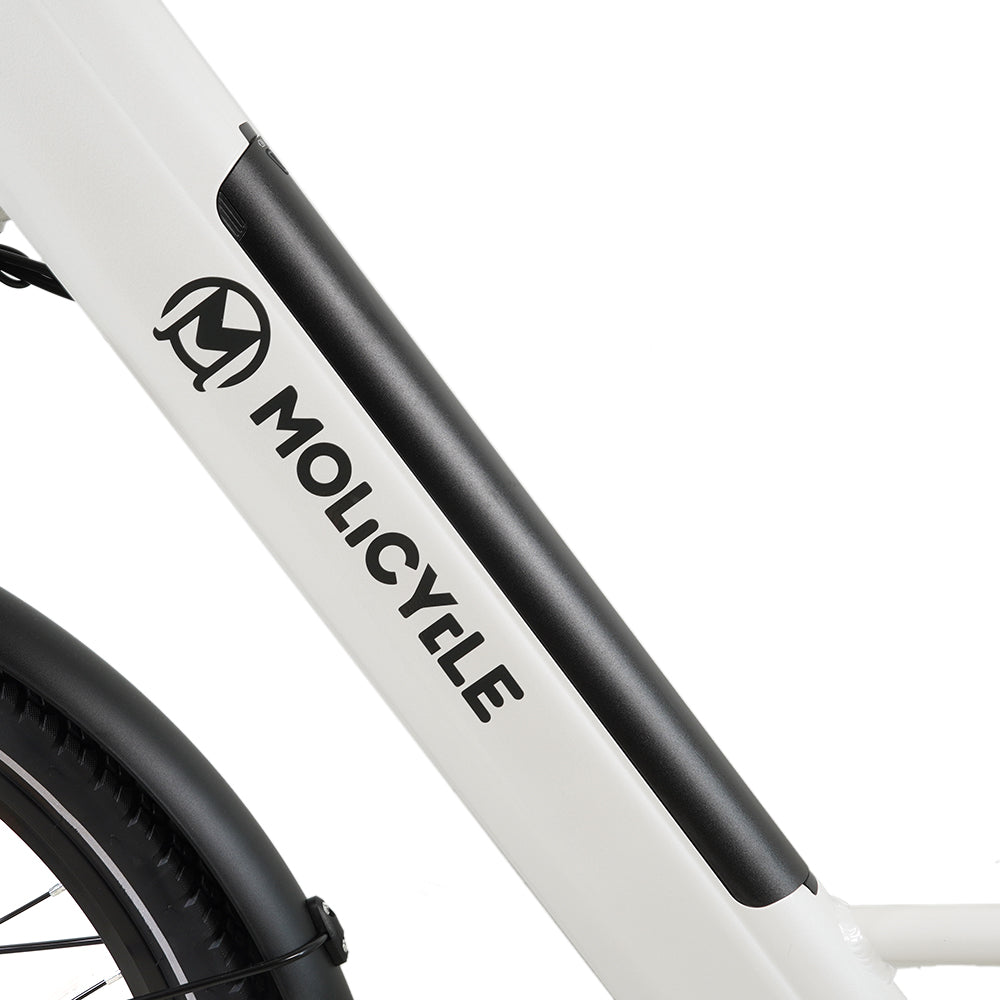 Molicycle R1 Vélo électrique urbain 250W 27,5