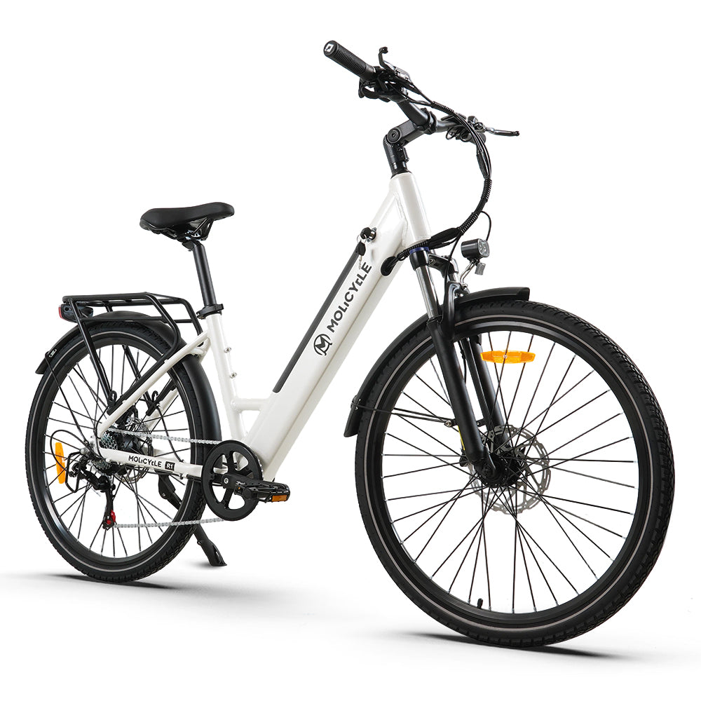 Molicycle R1 Vélo électrique urbain 250W 27,5
