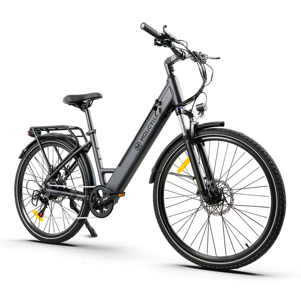 Molicycle R1 Vélo électrique urbain 250W 27,5