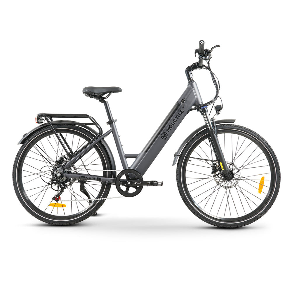 Molicycle R1 Vélo électrique urbain 250W 27,5