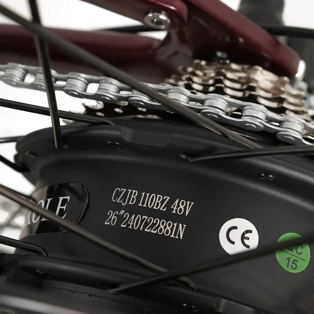 Vakole EMT29 VTT Électrique 29