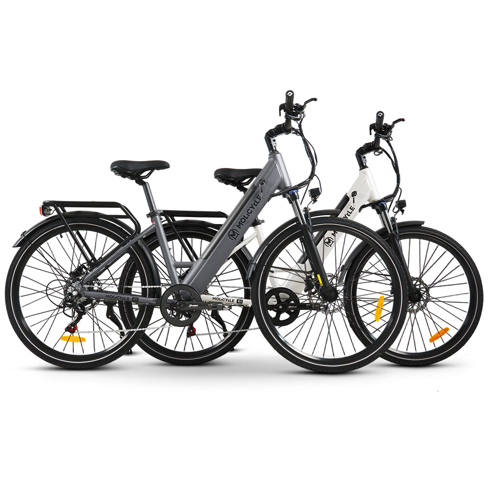Pack Molicycle R1 * 2 vélos électriques