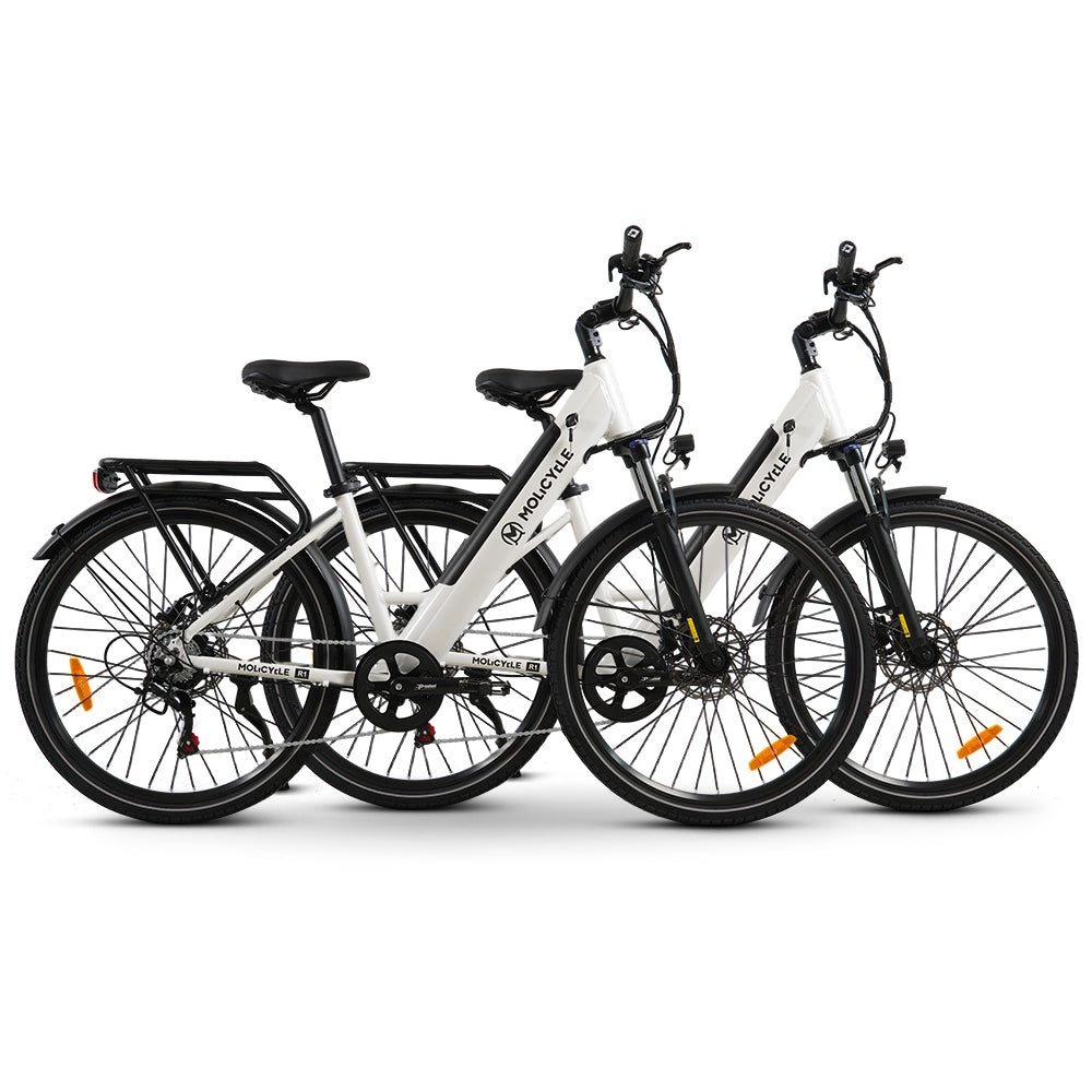 Pack Molicycle R1 * 2 vélos électriques