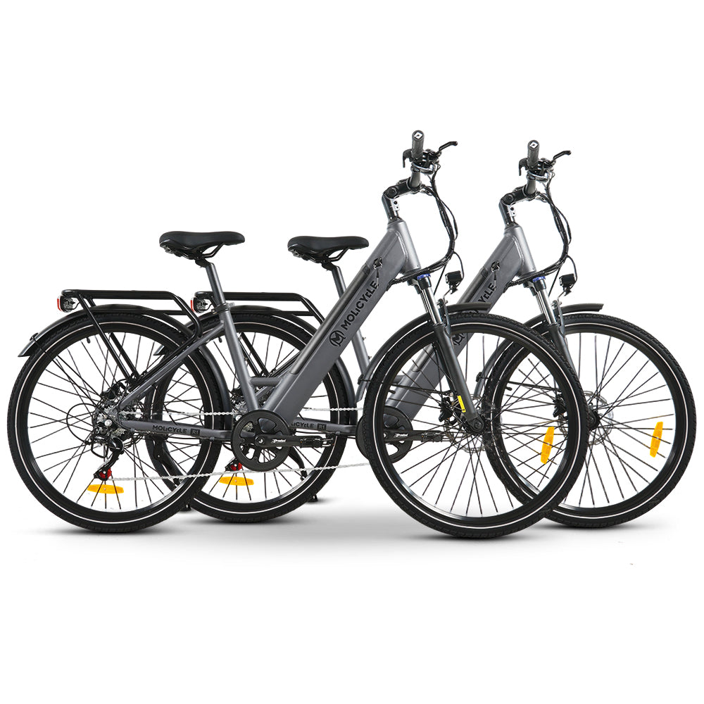 Pack Molicycle R1 * 2 vélos électriques