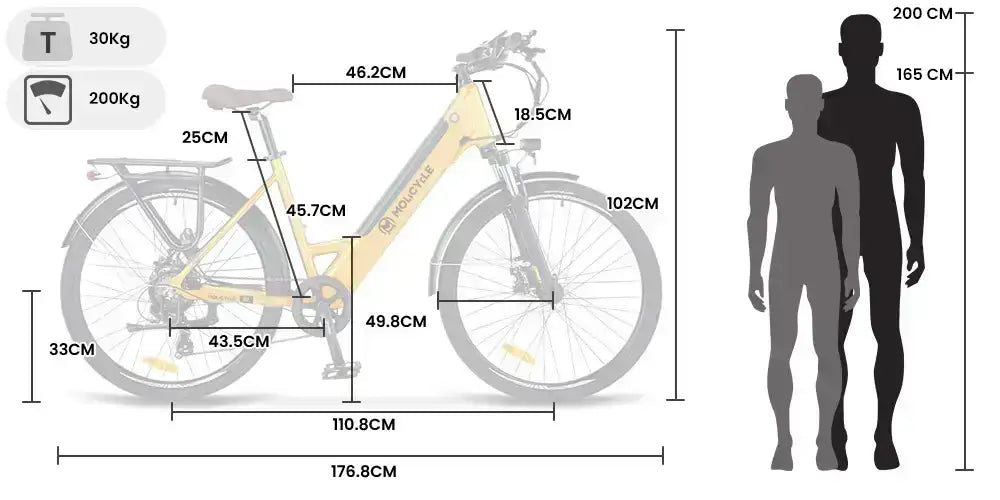Molicycle R1 250W 26