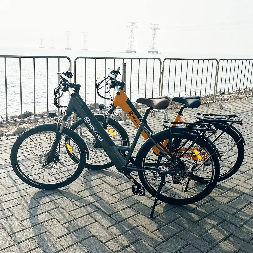 Pack Molicycle R1 * 2 Vélos Électriques - Buybestgear