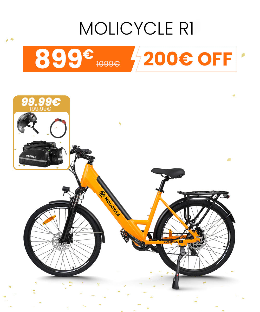 Molicycle-R1.jpg__PID:76411f8b-7b66-4716-8946-ad2183f3646b