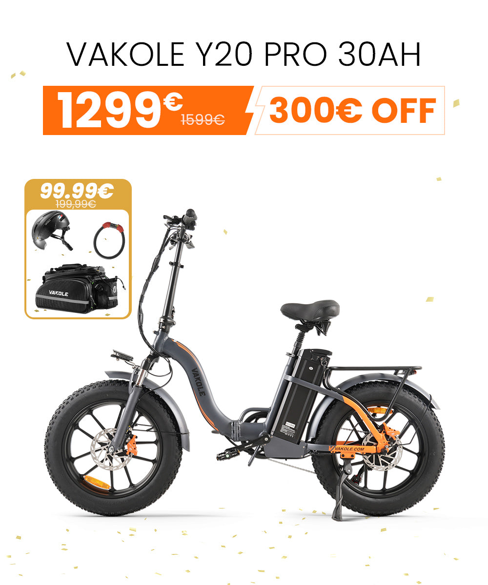 Vakole-Y20-Pro-30ah.jpg__PID:7b66d716-4946-4d21-83f3-646b268db7fd
