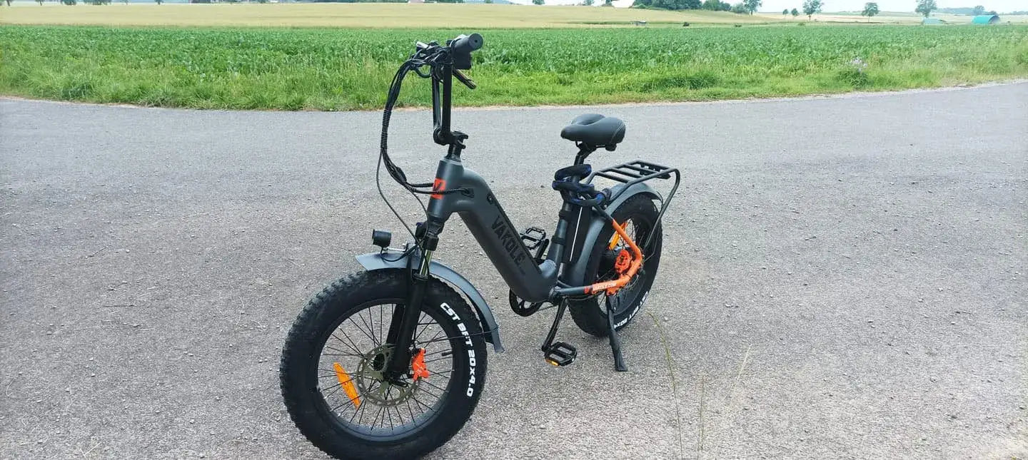 Vakole SG20 250W Vélo Tout-Terrain Électrique 20